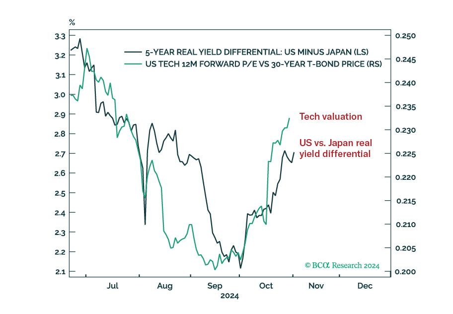 Trump Wins, But The Market Reaction Is Not What It Seems