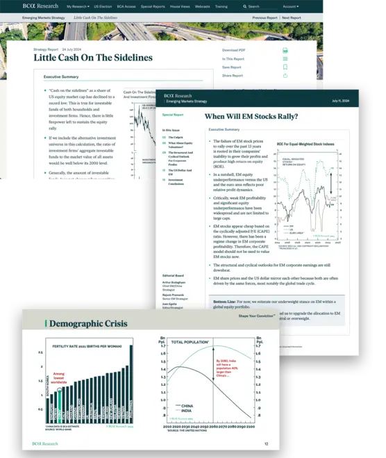 Emerging Markets Strategy - What's Included