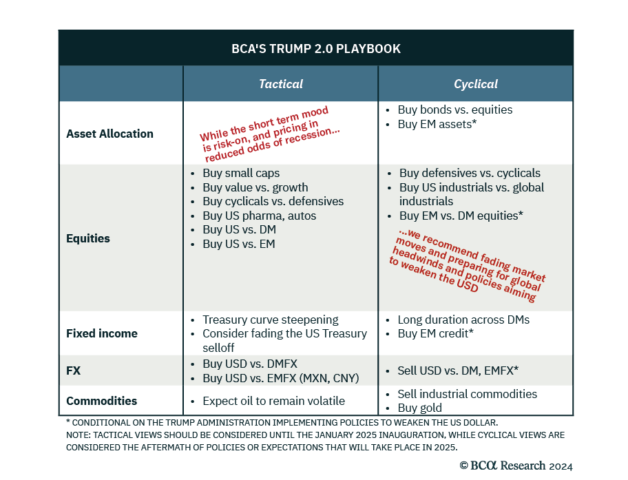 trump investment playbook